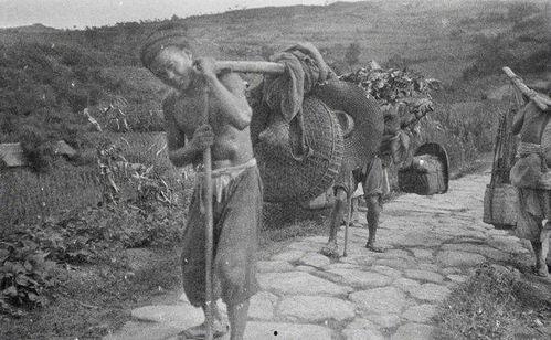 挑夫的图片,负重前行，描绘生活坚韧画卷