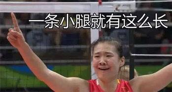女排图片表情包